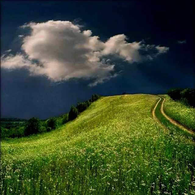 Природа в моей жизни это. Пейзаж. красивая природа. летняя природа.