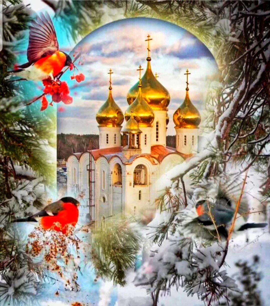 С добрым зимним сочельник