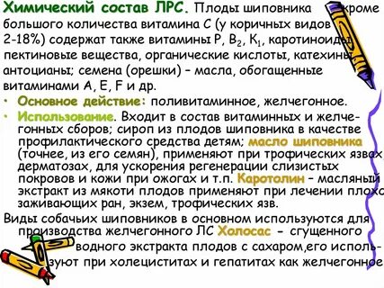 Время заготовки лекарственного растительного сырья шиповника