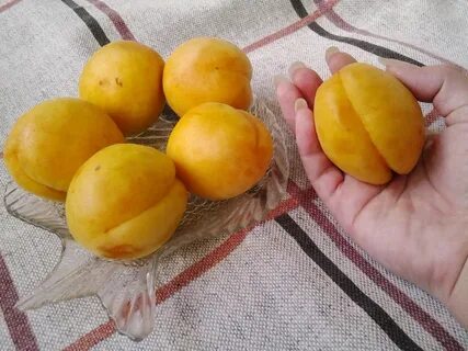 Абрикос ананас