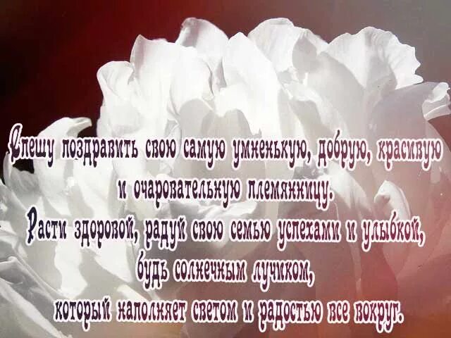 Пожелание племяннице своими словами. С днём рождения племяннице. Пожелания племяннице на день. Любимой племяннице с днем рождения. Поздравления с днём рождения племяннице красивые.