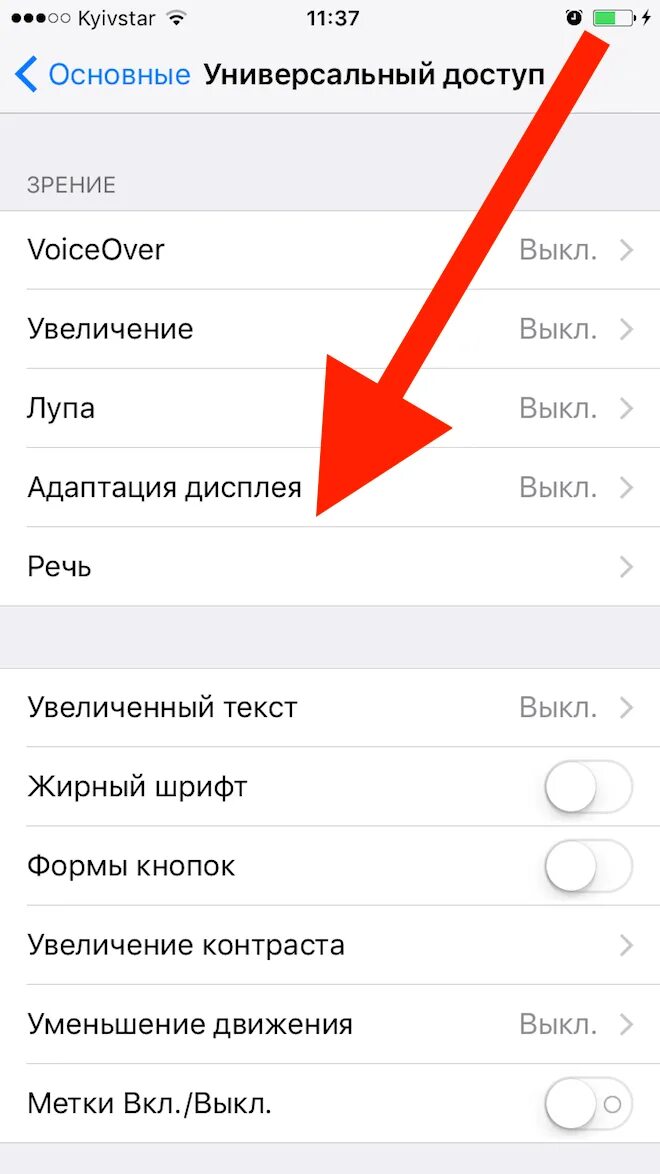 Настройки айфон se. Универсальный доступ. Универсальный доступ на айфоне. Настройки универсального доступа что это. Универсальный доступ на айфоне 6.