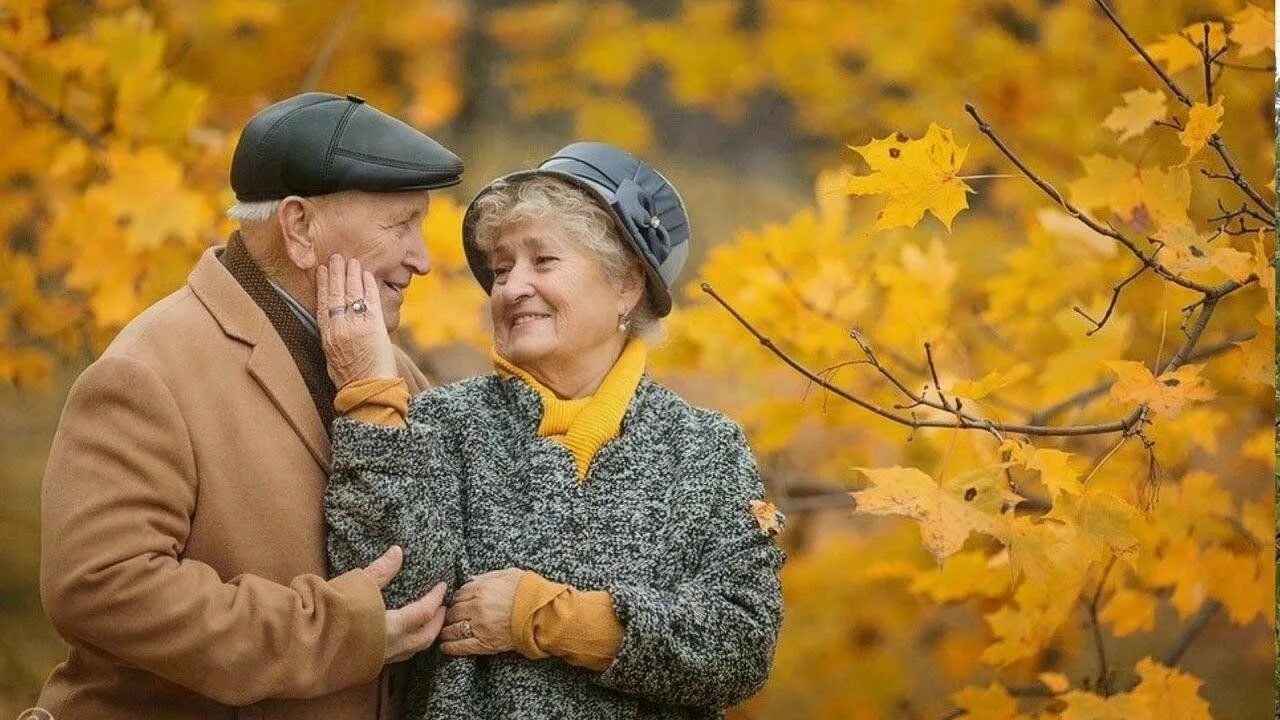 Смоленская деревня осень. Деревенский домик осенью. Смоленская деревня осень. Прогулка в осеннем парке. Пожилые дома золотая осень.