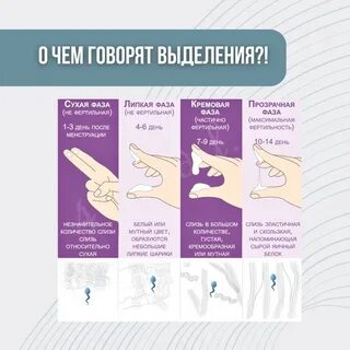 Сенбі отбасылық порно