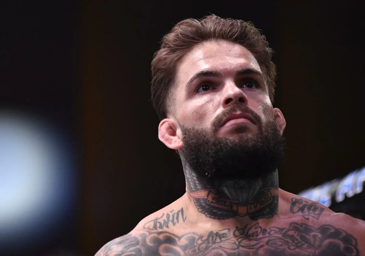 Гарбрандт. Коди Гарбрандт Рафаэль Ассунсао. UFC Cody Garbrandt. Коди Гарбрандт прическа. Коди Гарбрандт борода.