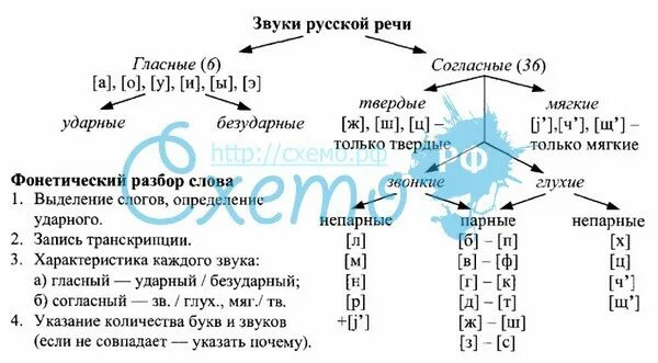 Фонетический разбор слов гласные. Характеристика согласных звуков русского языка 2 класс. Характеристика согласных звуков русского языка таблица 5 класс. Таблица согласных звуков русского языка фонетика. Классификация согласных звуков 1 класс.