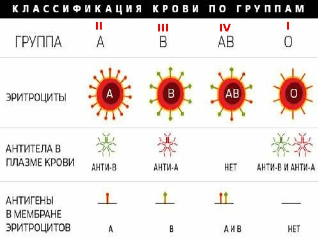 Схема скрещивания групп крови. Группы крови таблица. Группа крови и резус. Группы крови таблица наследования с резусом фактором.