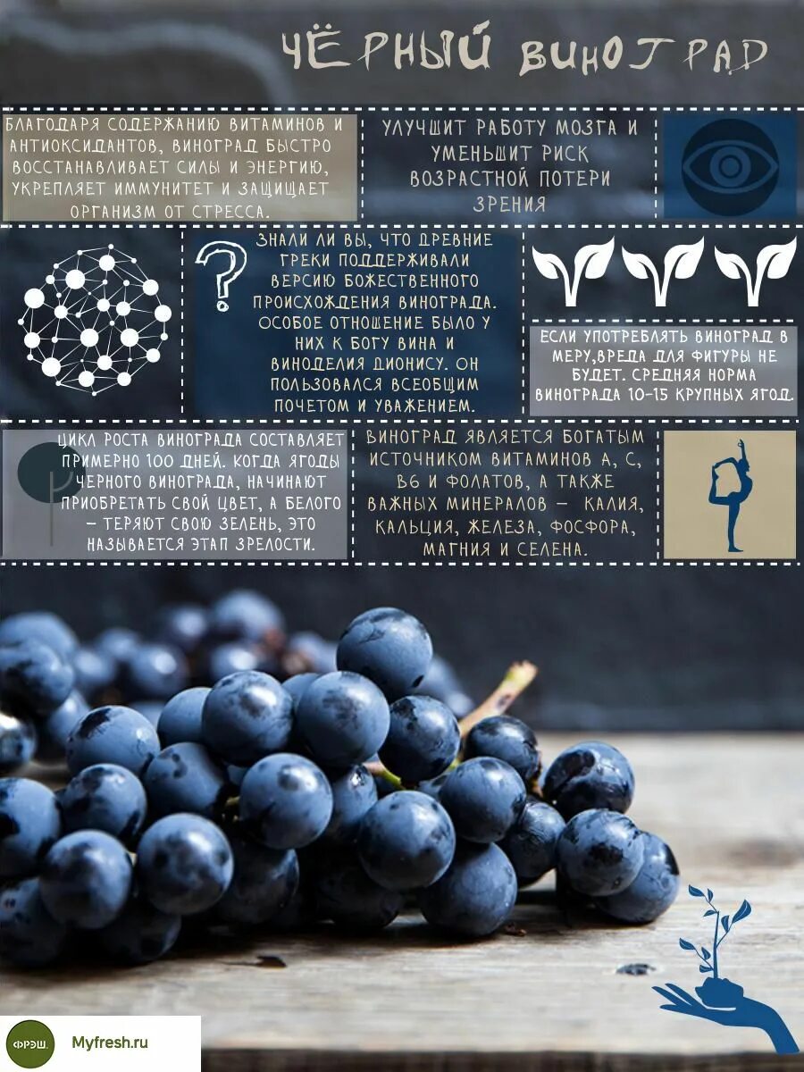 Какого витамина больше всего в винограде. Калорийность винограда черного. Витамины в черном винограде. Виноград инфографика. Виноград темный калорийность.