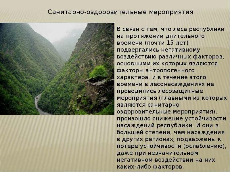 Богатства Чеченская Республика Республики. Природные ресурсы Чеченской Республики. Природно-ресурсный потенциал Чеченской Республики. Чеченская Республика слайд.