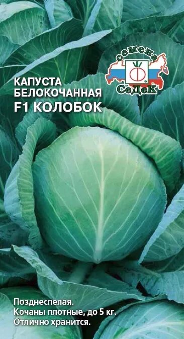 Купить Семена Капуста "Колобок", 0,1 г - SPirk.ru