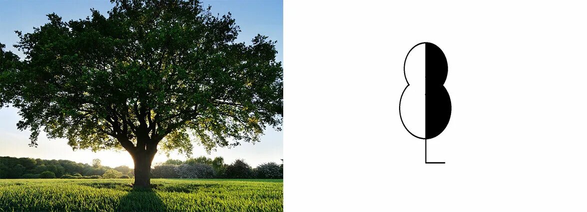 Условный знак дерево. Топографический знак отдельно стоящее дерево. Отдельно стоящее дерево рисунок. Одиноко стоящее дерево условный знак. Деревья на плане местности.