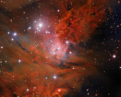Nebulosa zorro