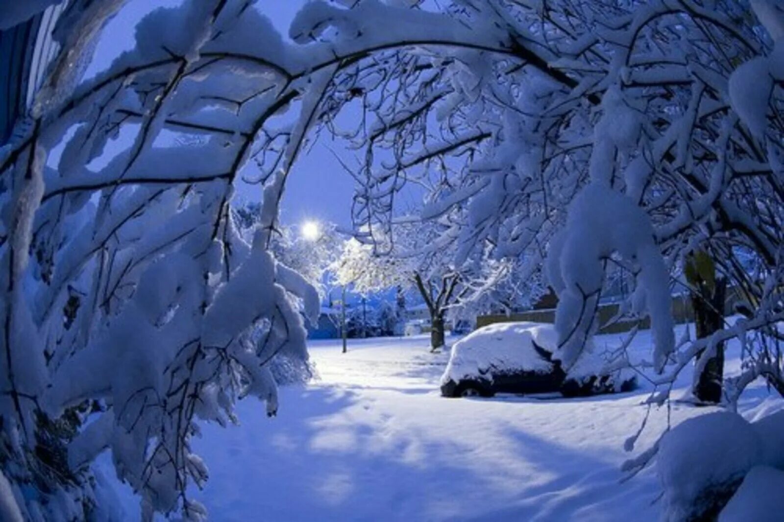 Зима. Сказочный зимний лес. Зима снег. Красивая Снежная зима. Включи видео снежная