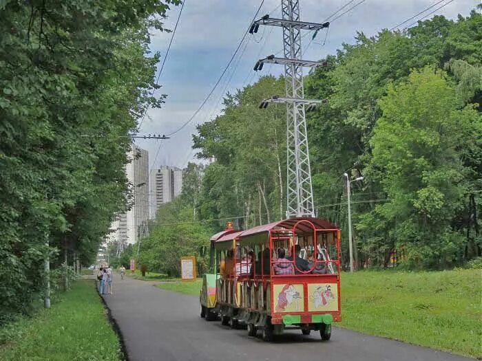 Измайловский парк московский просп 2 фото. Лесопарк Измайлово. Измайловский парк Москва. Трамвай 11 Измайловский парк. Измайловский парк Партизанская.