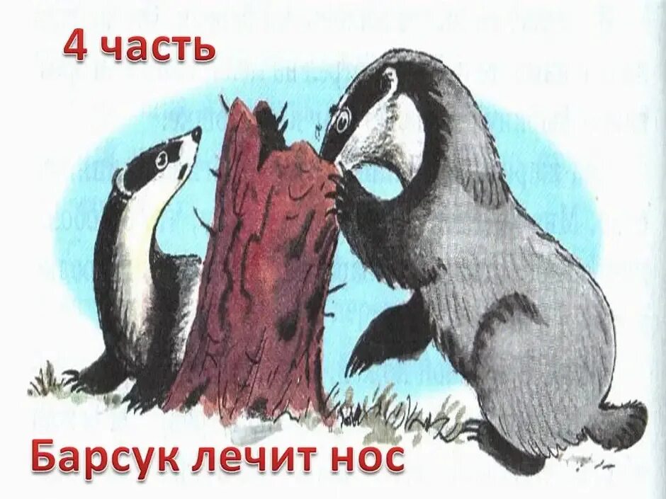 Идея произведения барсучий нос. Паустовский барсук барсучий нос. Барсучий нос иллюстрации к рассказу. Паустовский барсучий нос 3 класс. Барсучий нос Паустовский иллюстрации к произведению.