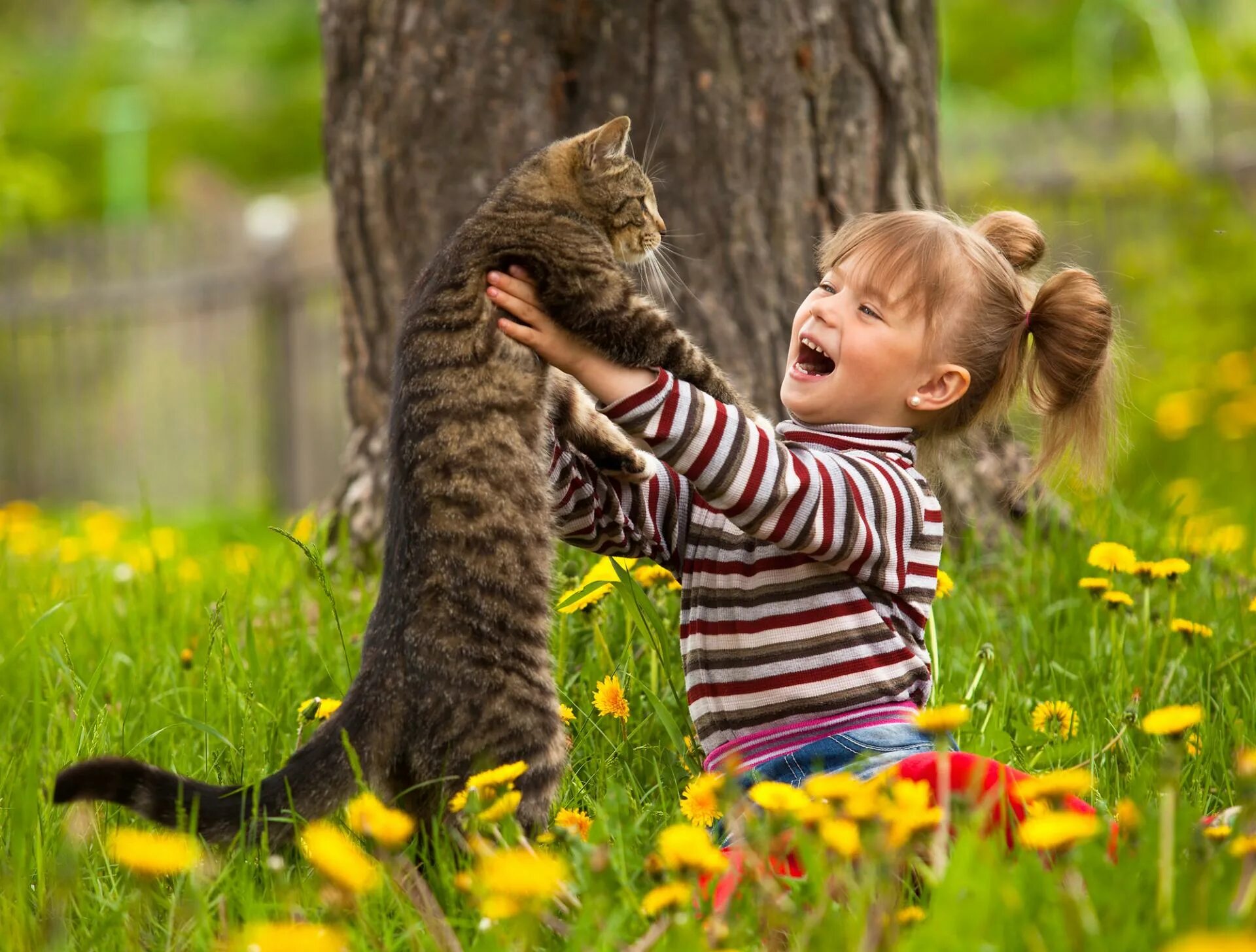 Для детей. Животные. Кот для детей. Дети с животными. Кот дети лето. Дети радуются весне