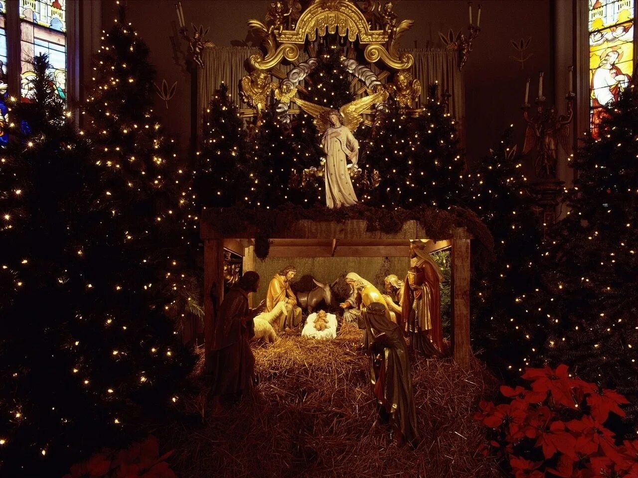 5 6 7 января. Рождество сочельник рождение Христа. С Рождеством католическим. С каталическимрождеством. Рождество у католиков.