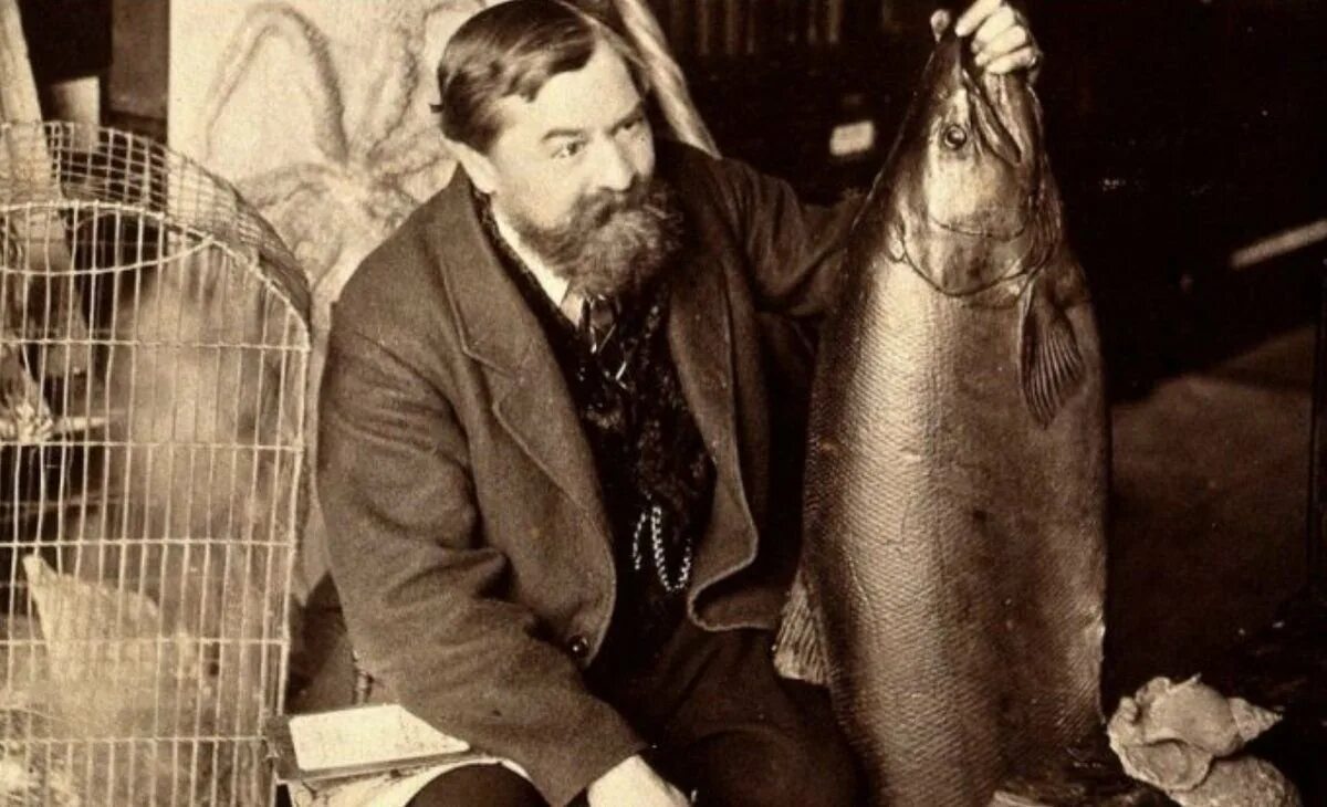 Класс рыбы общая характеристика. Эволюция в зоологии рыбы. Джек рэнделл путешественник. Океанолог. Уильям баклэнд.