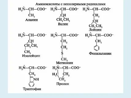 Группы радикалов аминокислот