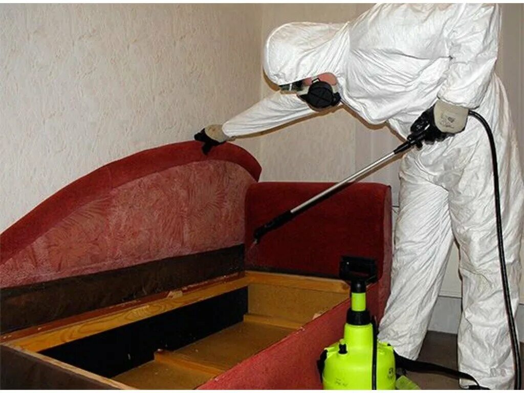 Дезинсекция клопов туманом. Дезинфектор человек. Дезинфекция помещений covid. Дезинфекция дезинсекция дератизация. Вызов дезинфектора.