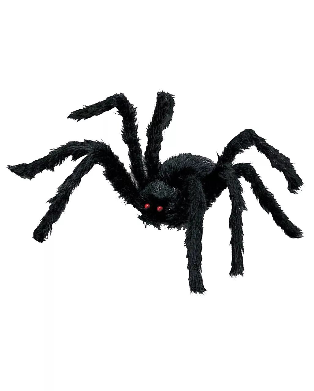 Ich eine spinne