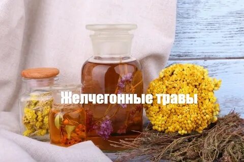 Травы при застое желчи в желчном пузыре