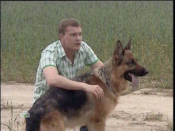 Павел вишняков мухтар 2. Павел вишняков и мухтар. Павел вишняков актер мухтар. Павел вишняков возвращение мухтара. Возвращение мухтара максим жаров павел вишняков.