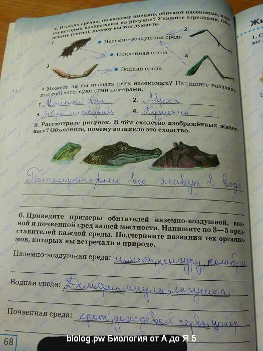 Биология 5 класс стр 120. Среды жизни рабочая тетрадь. три среды обитания биология 5 класс. среды обитания организмов» в рабочей тетради. среды жизни биология рабочая тетрадь.