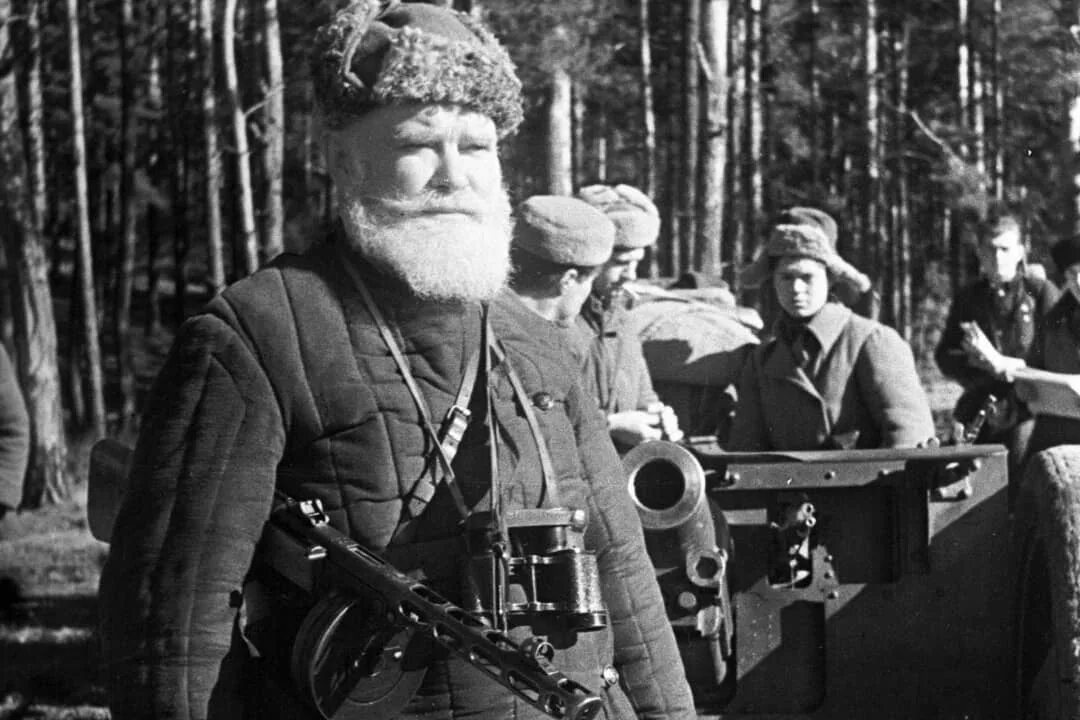 Нескольких партизанов