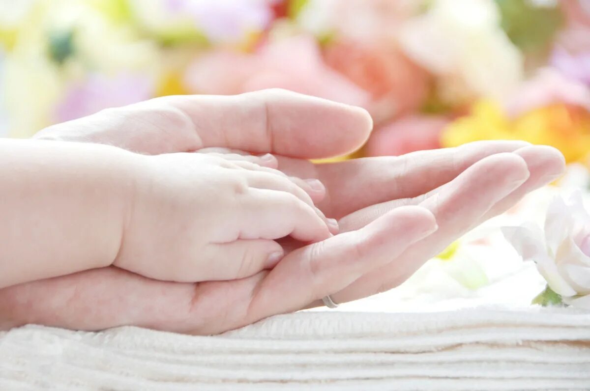 мамины ладони. тепло рук мамы. мамины руки. руки детские и взрослые. тепло рук мамы.