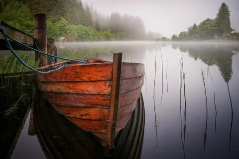 Лодка в кустах
