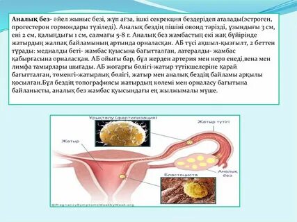 Ақша үшін түсірілген және трахналдық порно көру