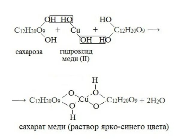 Реакция со свежеосажденным гидроксидом меди. Реакция сахарозы с гидроксидом меди 2. Сахароза с гидроксидом меди 2 уравнение. Сахароза и гидроксид меди 2. Сахароза плюс гидроксид меди 2.