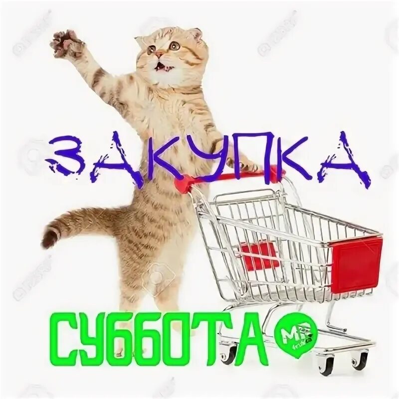 Следующую закупку