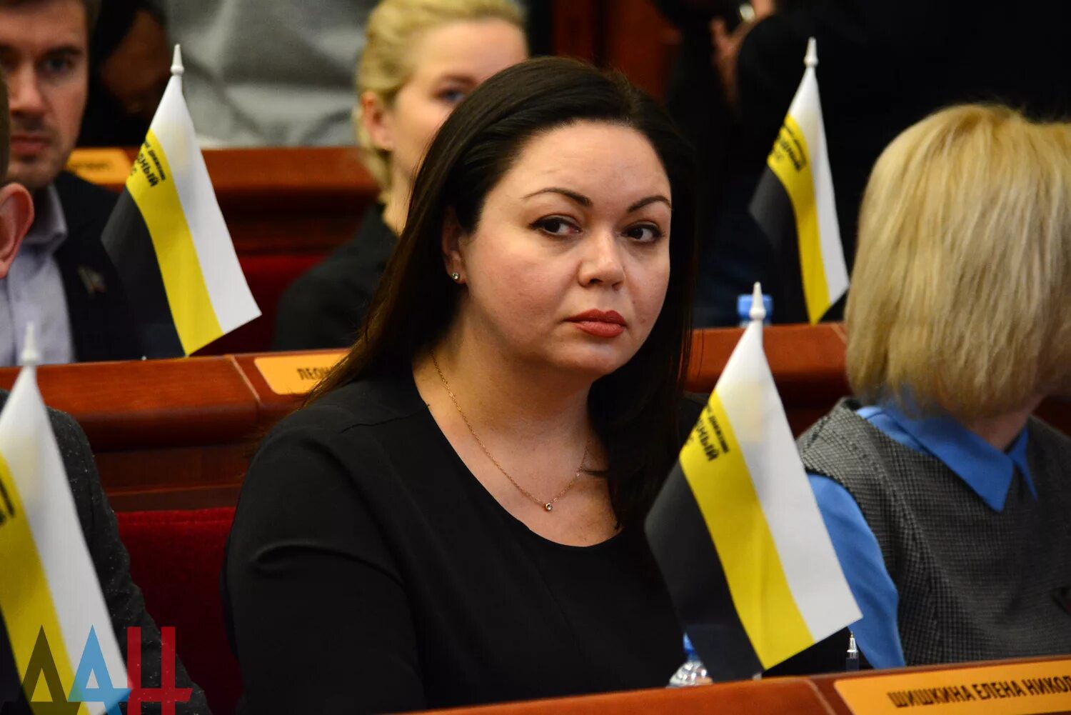 депутаты народного совета днр. депутаты днр фото. шишкина елена донбасс. бердичевский владислав леонидович депутат днр. парламент донецкой народной республики.