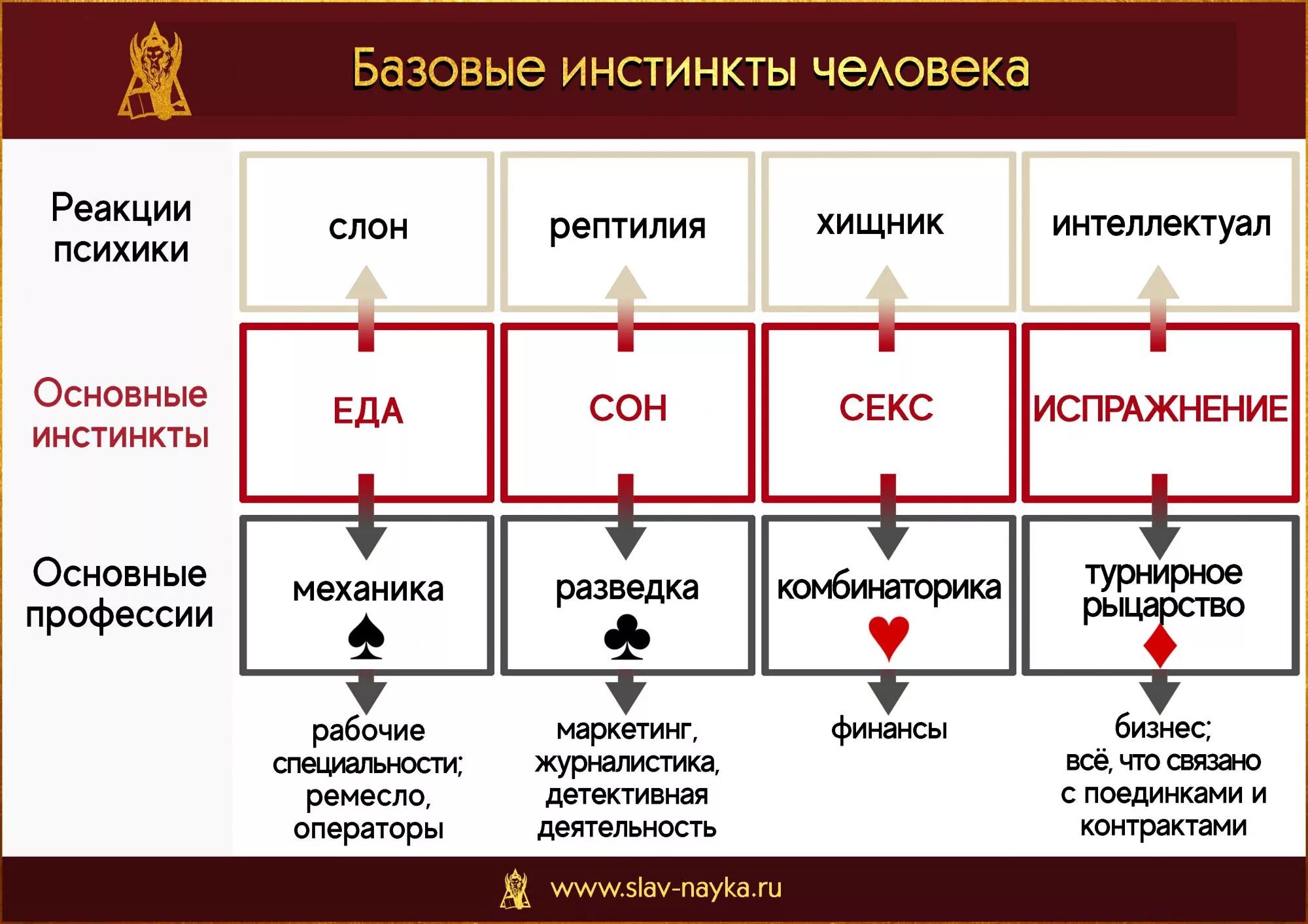 Какие инстинкты есть у животных. Инстинкты человека. базовые инстинкты. какие инстинкты есть у человека. основные базовые инстинкты.