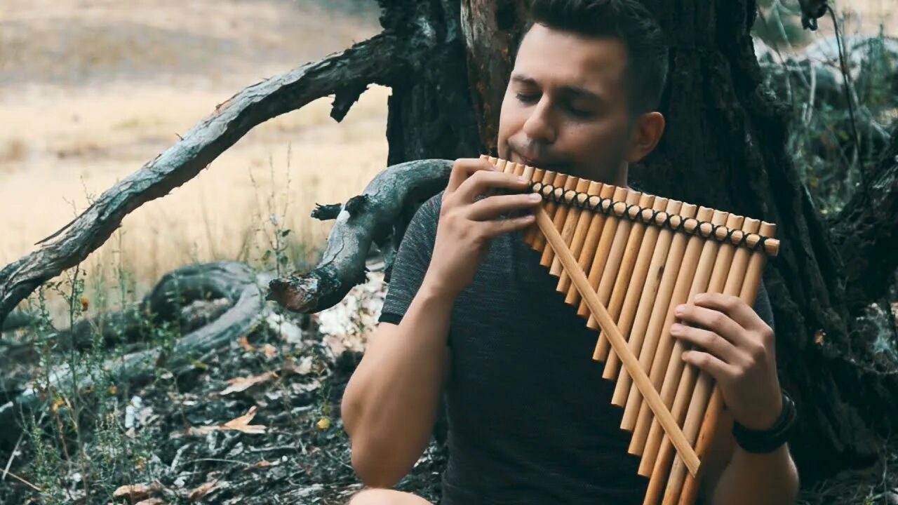 Флейта пана слушать. Pan flute. Одинокий пастух пан флейта. Mariana preda музыкант флейта. Саксофон и пан флейта.