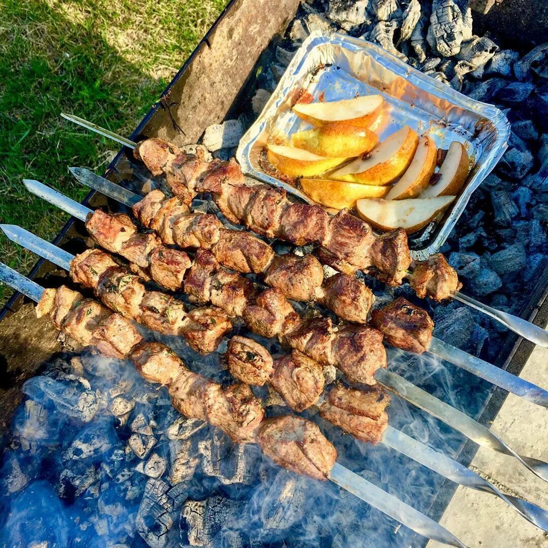 Можно ли жарить шашлык на пруду. Шашлык. жареный шашлык. утка шашлык. утиный шашлык.