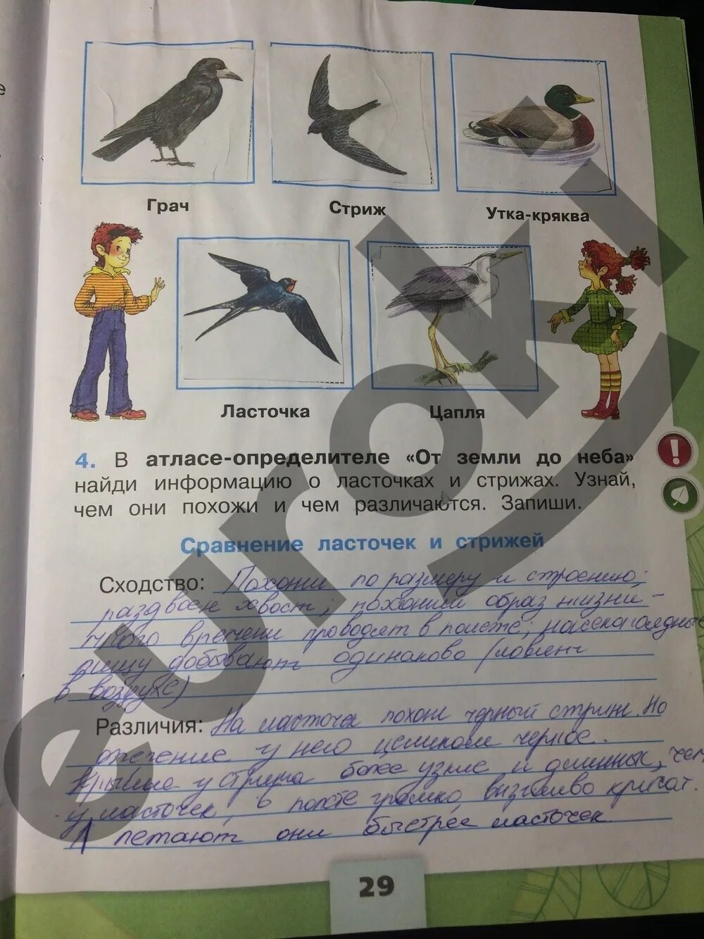 Окружающий мир 2 класс тетрадь страница 29. Окружающий мир 2 класс рабочая тетрадь 1 часть плешаков стр 29. окружающий мир 2 класс рабочая тетрадь 1 часть стр 29 ответы номер 4. окружающий мир 2 класс рабочая тетрадь плешакова стр 29. плешаков 1 класс рабочая тетрадь 2 часть стр 29.