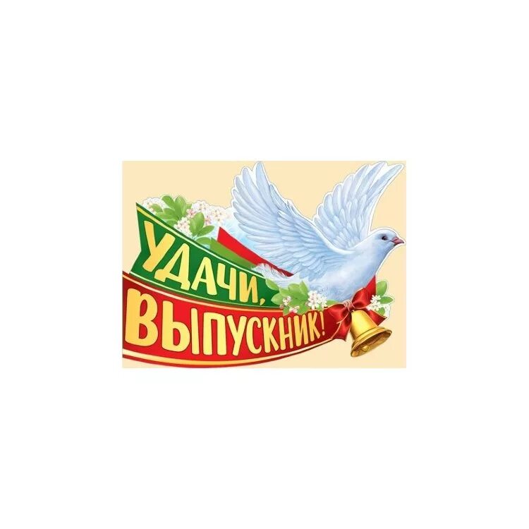 Удачи выпускник. Удачи, выпускникп ллакат. Плакат выпускников. Выпускник надпись. Голуби на выпускной в детском саду