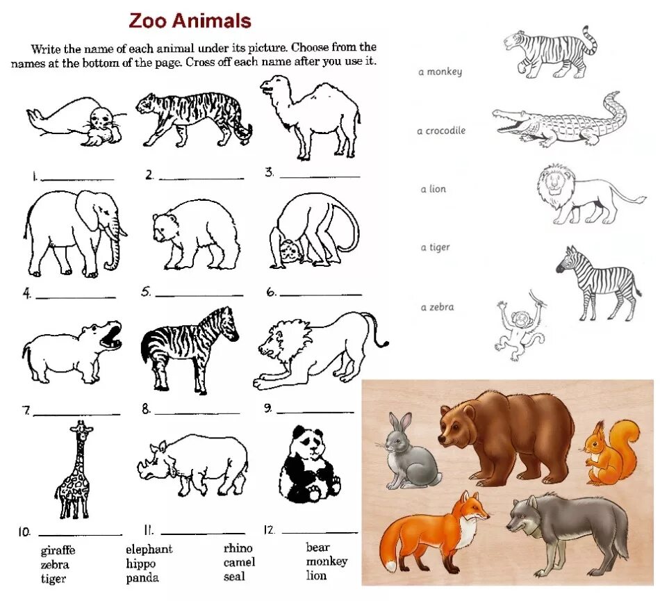Нарисовать животное 3 класс английский язык. Животные на английском задания. Животные на английском для детей задания. Задания с животными для дошкольников. Дикие животные задания для дошкольников.