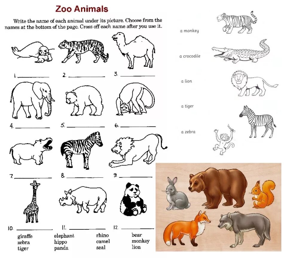 Животные на английском задания. Животные на английском для детей задания. Задания с животными для дошкольников. Дикие животные задания для дошкольников.