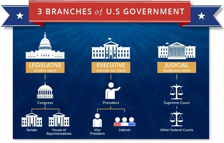 The new government has. Три ветви власти в США. Дерево власти в США. Разделение властей в США. Схема власти CIF.