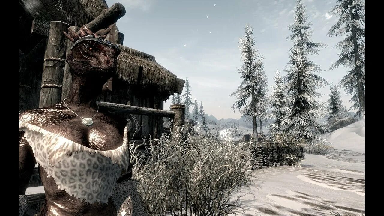 Скайрим rfad. Skyrim CBBE аргонианин. Скайрим аргониане CBBE. Шави скайрим. Skyrim Shahvee.