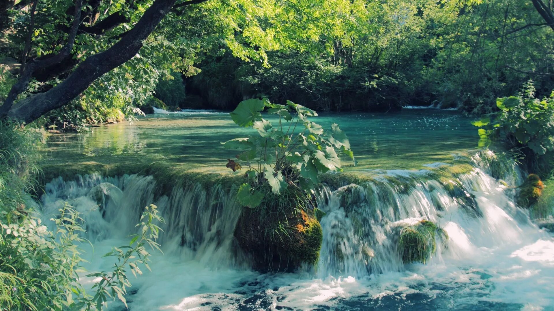 Бесплатные видео обои на телефон. Красивые водопады. Водопад у озера. Природа лето вода. Летний водопад.