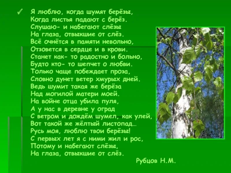 Рубцов берёзы стих. Стихотворение Рубцова березы. Берёза стихотворение я люблю. Березы я люблю когда шумят березы.