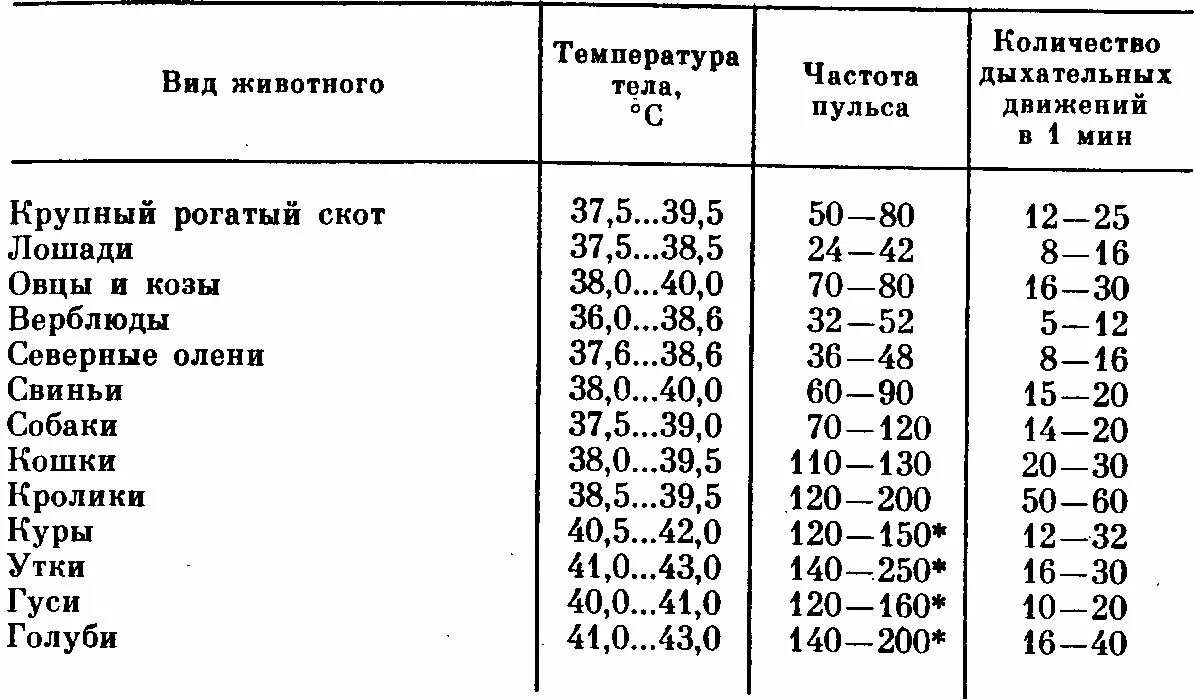 Дыхание л мин. Температура у коровы в норме. Температура тела животных в таблице. Температура тела у коровы в норме. Таблица температура пульс животных.