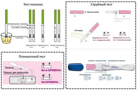 Тесты для определения беременности на ранних сроках