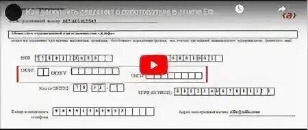 Новый ефс 1 с 2024 года