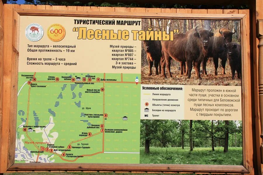 Пуща автобуса. Беловежская пуща туристические маршруты. национальный парк белоруссии беловежская пуща. беловежская пуща карта маршрутов. туристические объекты беловежская пуща.